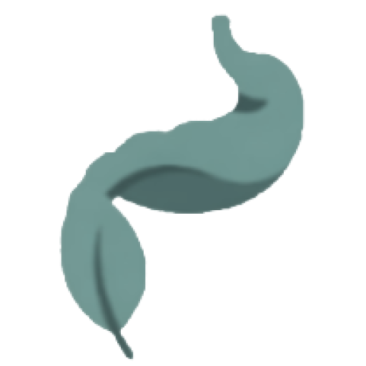 IntestinZen